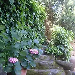 Semesterbostad La Casita Del Tejo *