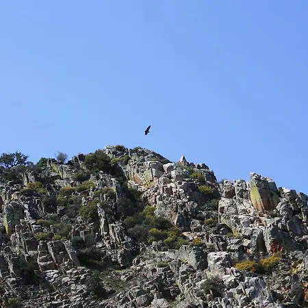 Σπίτι διακοπών La Casita Del Tejo