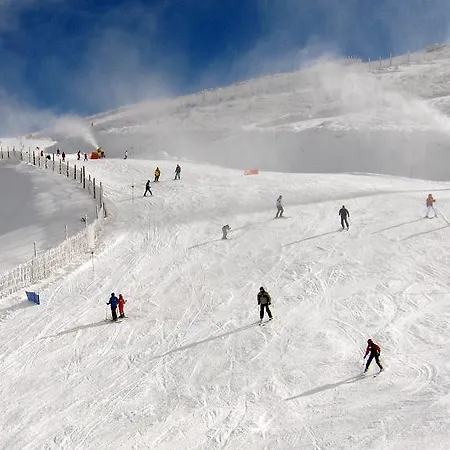 La Casita Del Tejo *