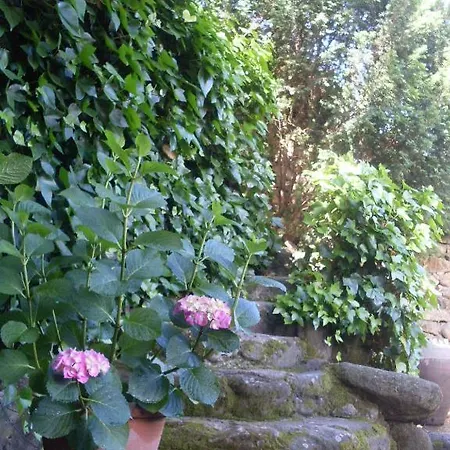 Ferienhaus La Casita Del Tejo *