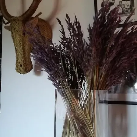 La Casita Del Tejo * Hervás