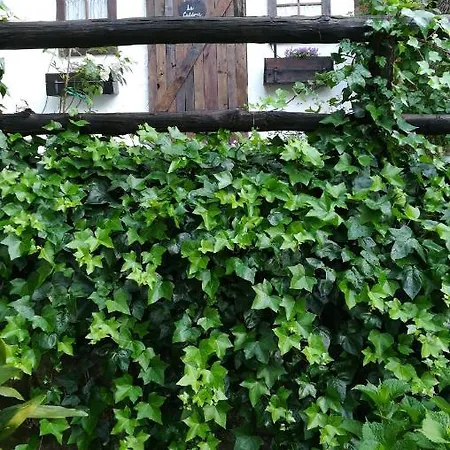 La Casita Del Tejo