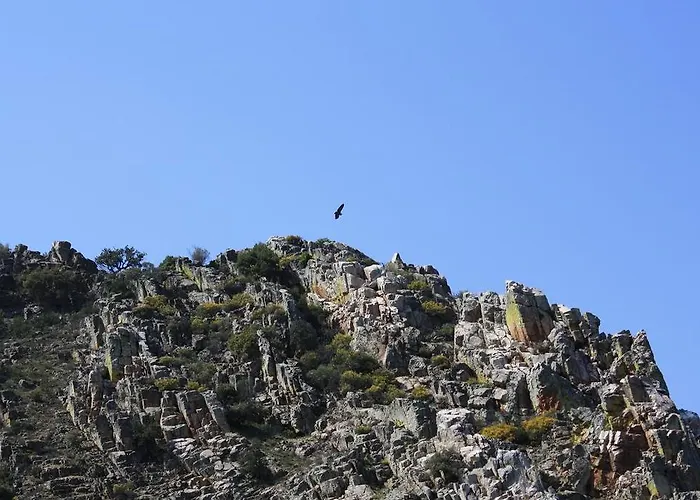 Дом отдыха La Casita Del Tejo