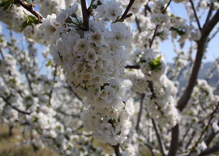 Prázdninový dům La Casita Del Tejo Hervás