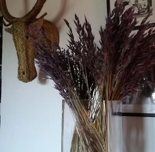 La Casita Del Tejo * Hervás